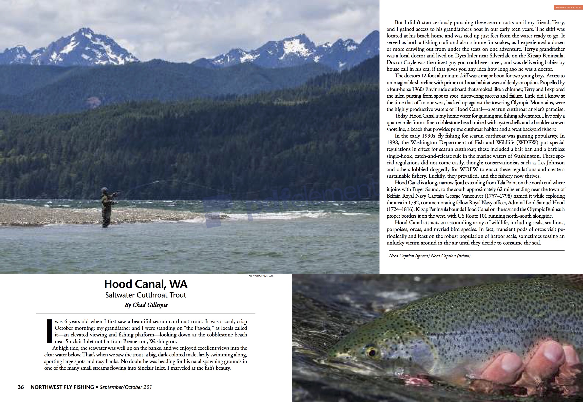 Hood Canal Northwest FF Article(50 dpi low quality) - Fjord Fly Fishing